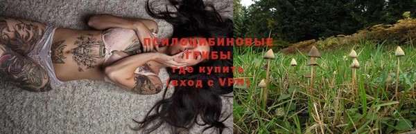 мескалин Новодвинск
