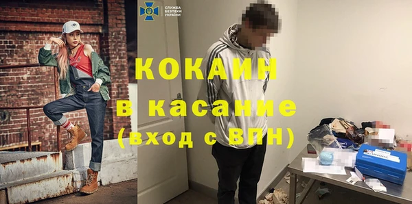 крисы Абаза