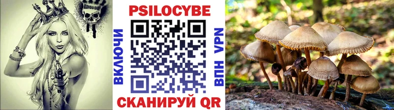 Галлюциногенные грибы ЛСД  Нахабино 